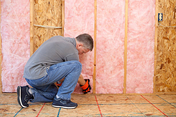 Best Insulation Installation Services in Cedar Bluff, VA